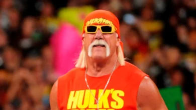 hulk hogan vermögen